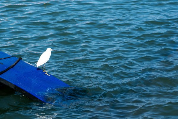Révolutionnez votre quotidien : Découvrez les surprenants bienfaits du yoga pour les femmes souffrant du syndrome des ovaires polykystiques